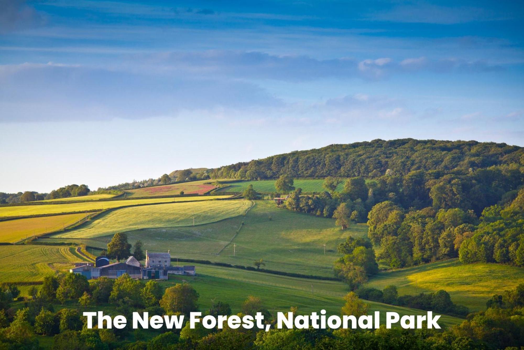 Cosy Retreat Near New Forest Ellingham  エクステリア 写真