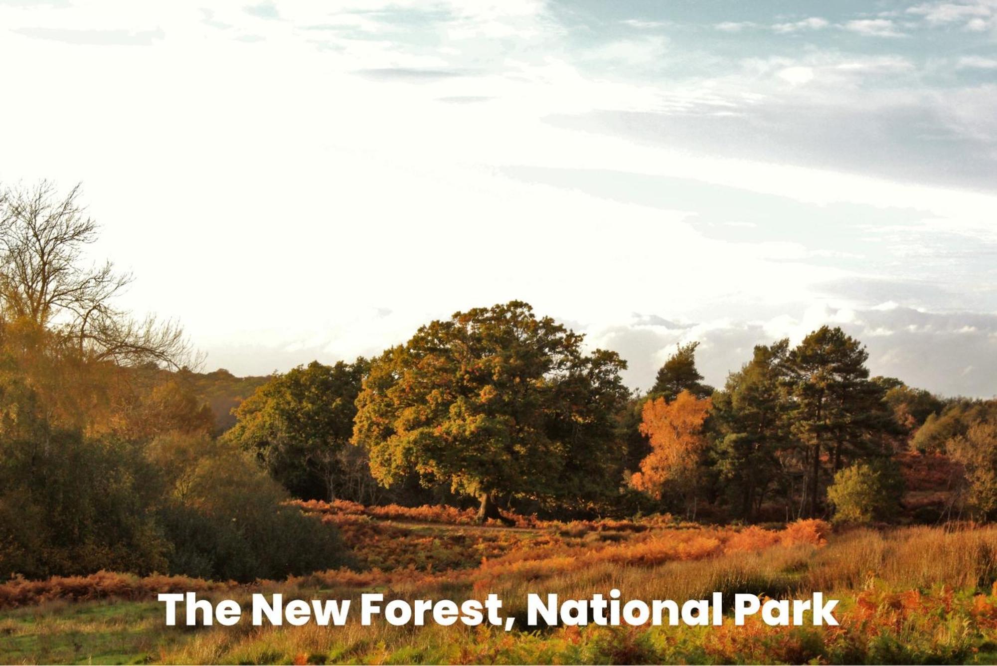 Cosy Retreat Near New Forest Ellingham  エクステリア 写真