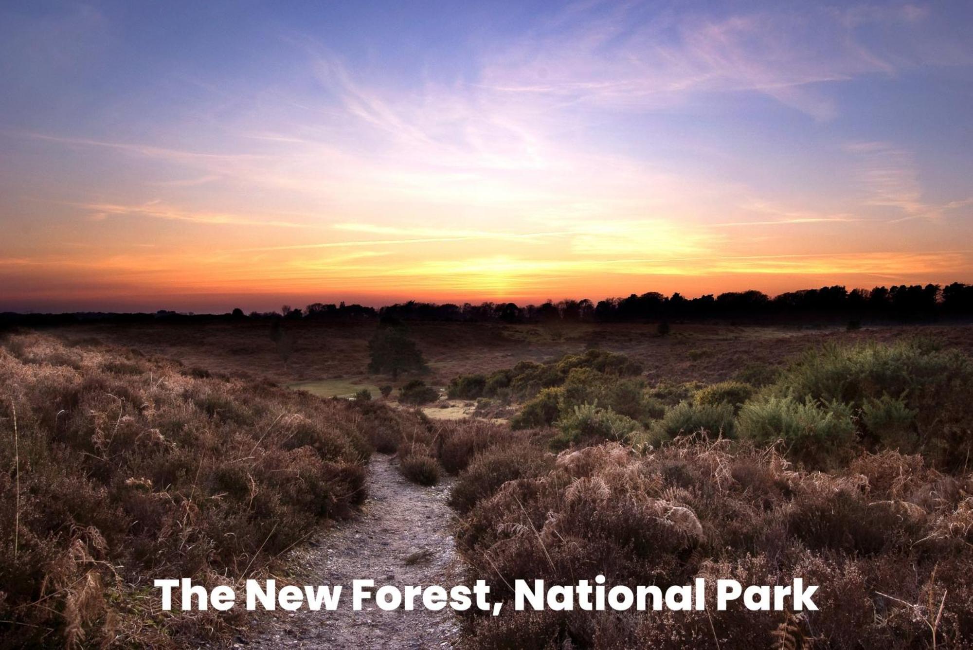 Cosy Retreat Near New Forest Ellingham  エクステリア 写真