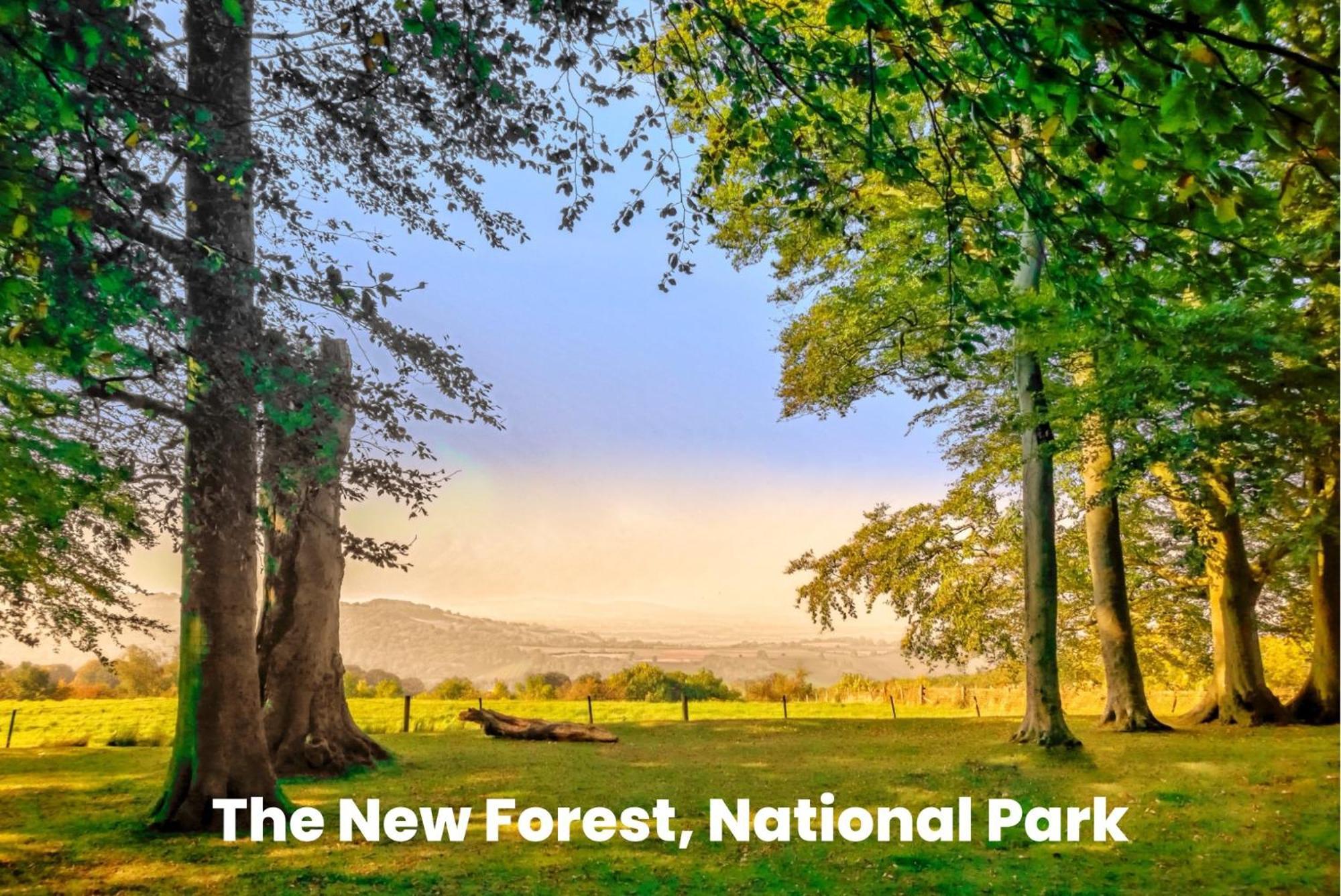 Cosy Retreat Near New Forest Ellingham  エクステリア 写真