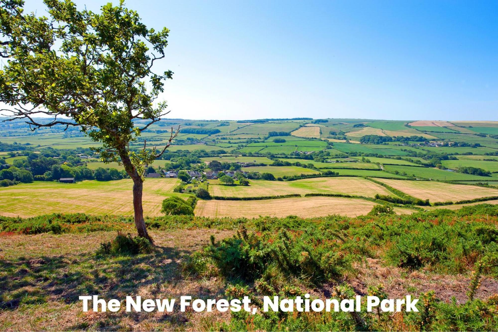 Cosy Retreat Near New Forest Ellingham  エクステリア 写真